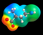 Homocysteine molecule