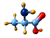 Alanine,molecular model