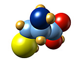 Cysteine,molecular model