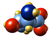 Threonine,molecular model