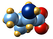 Valine,molecular model
