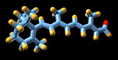 Vitamin A (retinal) molecule