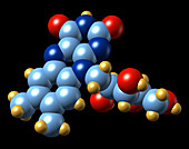 Vitamin B2,molecular model