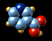 Vitamin B3,molecular model