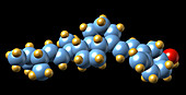 Vitamin D2,molecular model