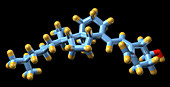 Vitamin D3,molecular model