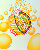 Low-density lipoprotein particle