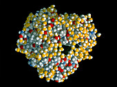 Molecular graphic of myoglobin