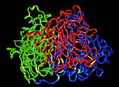 Factor VIII protein molecule
