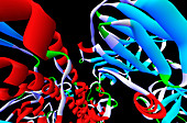 Botulinum toxin