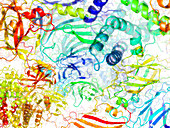 Secondary structure of proteins,artwork