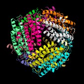 Iron containing protein,molecular model