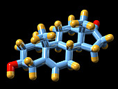 DHEA hormone,molecular model