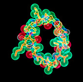 Cyclosporin drug molecule