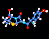 Amoxycillin drug molecule