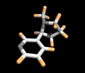 Nicotine molecule