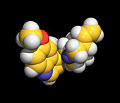Molecular graphic of the drug quinine