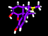 Morphine molecule