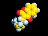 Warfarin molecule