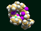 Tacrolimus drug molecule