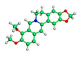 Berberine molecule