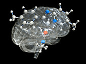 Zolpidem brain drug,molecular model