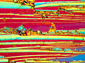 LM of thin section of silicon