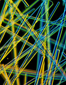 Light micrograph of asbestos fibres