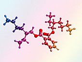 Di(2-ethylhexyl) phthalate