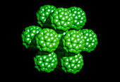 Computer graphics of Buckminsterfullerene