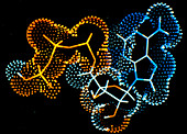 Computer graphic of a molecule of ATP