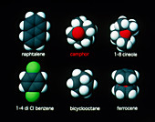 Molecules that smell like camphor