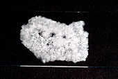 Salol crystals after fast cooling