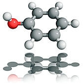 Phenol molecule