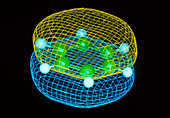 Molecular computer graphics of benzene