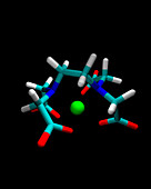 EDTA molecule with magnesium ion