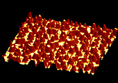 AFM of thin film of a co-polymer