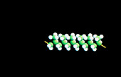 Molecular structure of polypropylene