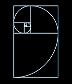 Fibonacci spiral,artwork