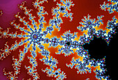 Fractal geometry: detail from Mandelbrot Set