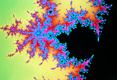 Fractal geometry from the Mandelbrot Set