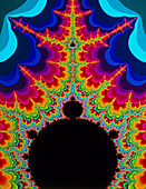 Mandelbrot set:-Beacon force