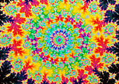 'Flower Power' - Mandelbrot Set fractal