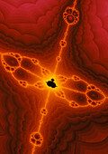 'Isaac's Butterfly',Newtonian fractal