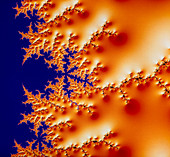 Fractal 3-D image of the Mandelbrot Set