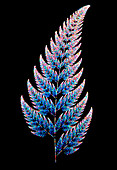 Computer graphic called 'Fractal Fern'