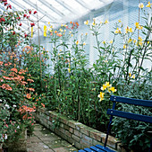 Working greenhouse