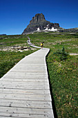 Alpine meadow conservation