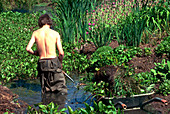 Clearing pond weed from a stream