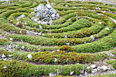 Prehistoric labyrinth